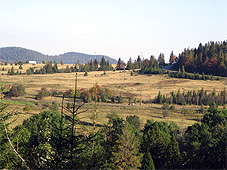 min swk pu 1 min swk pu 1